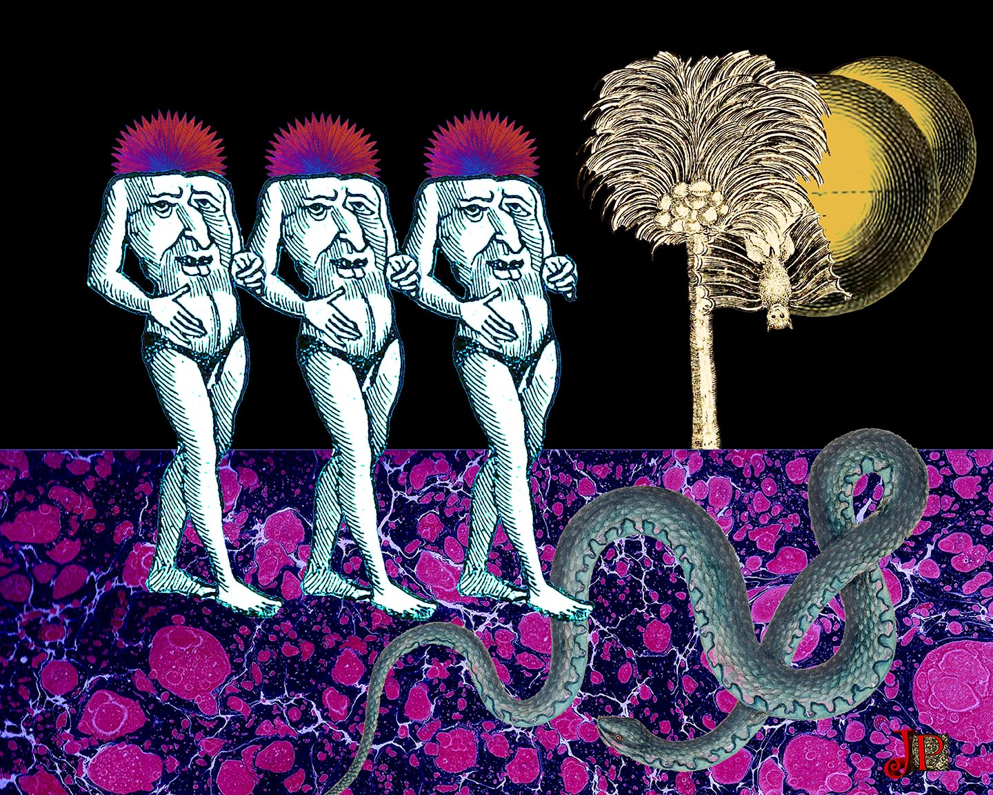 disconnection savage